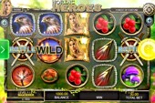 Nordic Heroes Slot